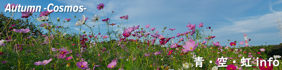 青・空・虹 info